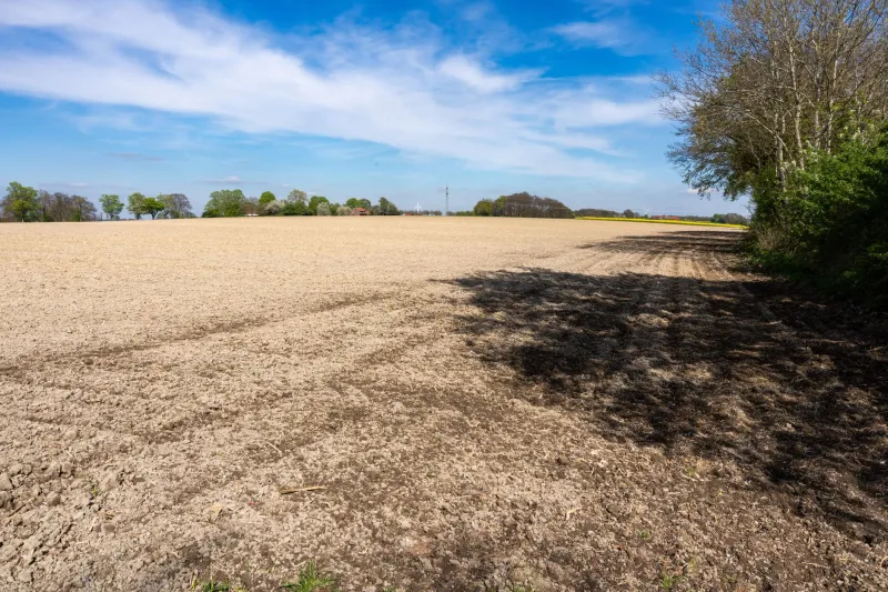 Ground Truth: Why Static Soil Contamination Models Are Failing Agricultural Scientists—and What Dynamic Monitoring Can Fix